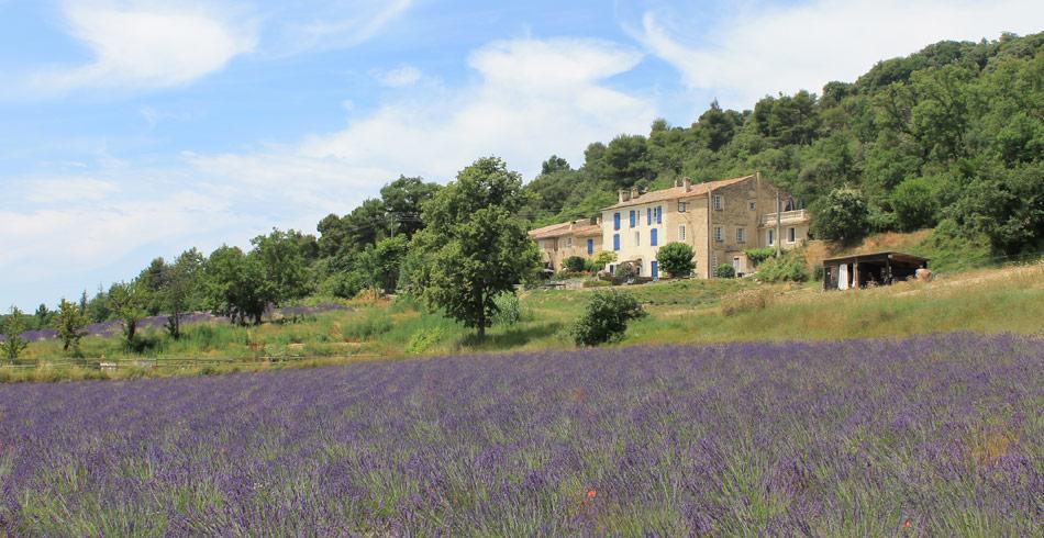 Domaine De Bertrandy Bed and Breakfast Allemagne-en-Provence Eksteriør billede